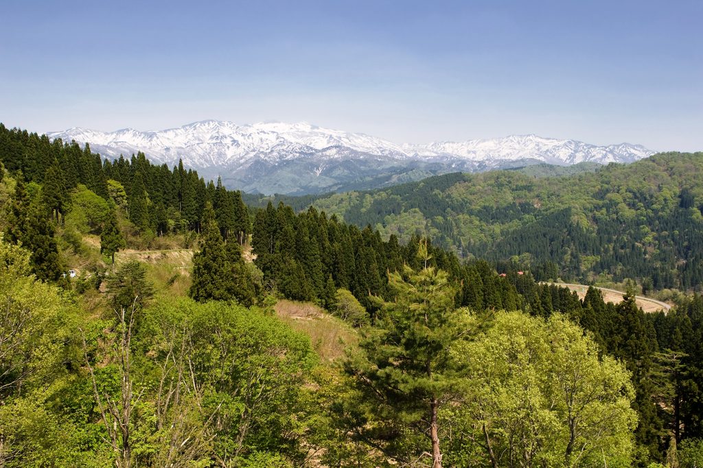 白山を望むキャンプ場周辺の風景